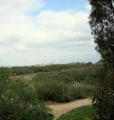 Talbert Nature Preserve