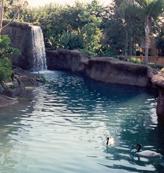 Santa Ana Zoo