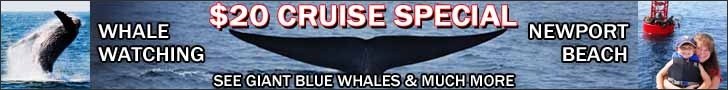Newport Whale Watching $20 Offer