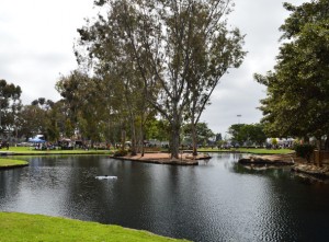 TeWinkle Park