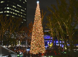 South Coast Plaza Tree Lighting