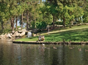 TeWinkle-Park-Blog