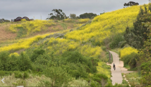talbert regional park costa mesa
