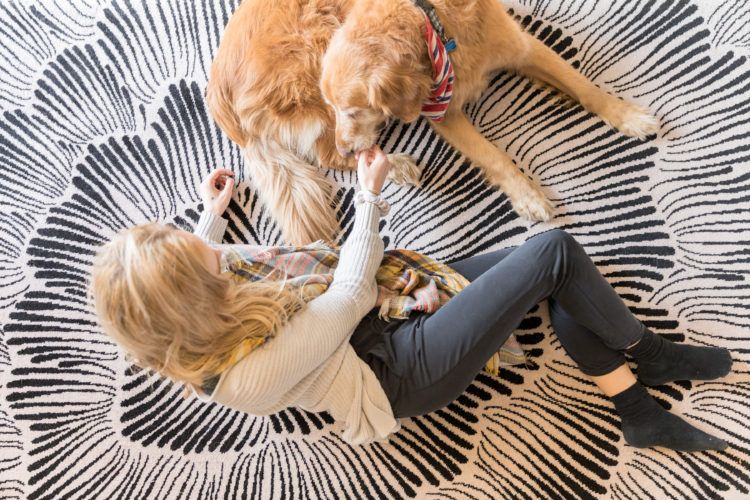 Dog Friendly Costa Mesa Weekend Getaway