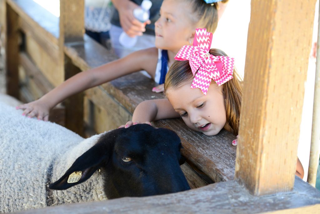 free things to do at oc fair