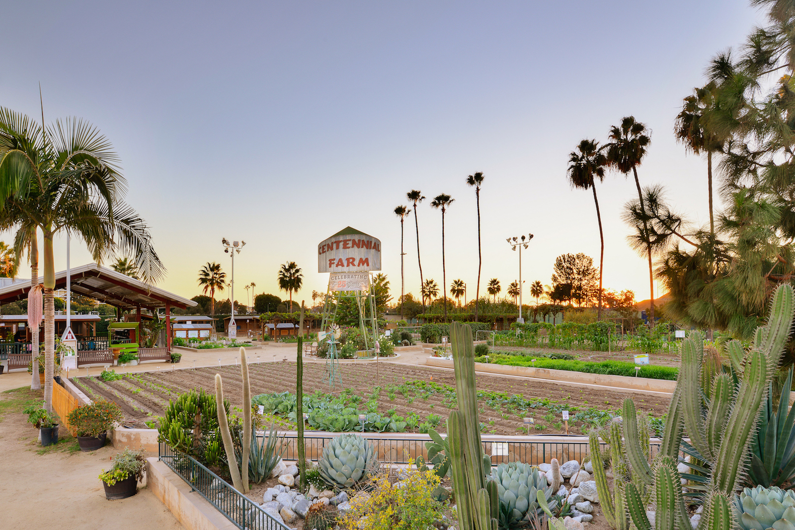 7-great-things-to-do-this-fall-in-costa-mesa