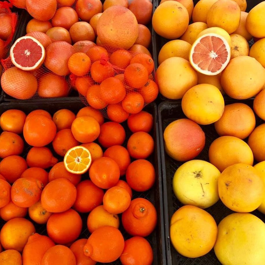 Farmers Market at OC Fair & Event Center