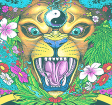 Tribal Seeds / The Expendables / Mike Love / Simpkin Project at Pacific Amphitheare