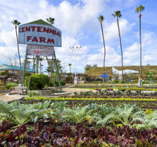Discovery Day at Centennial Farm, Sep. 30
