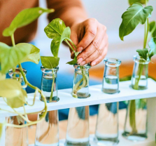 Hyonic for the Home Gardener