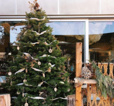 Holiday Night Market at The CAMP