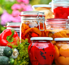 Make It, Take It – Techniques in Food Preservation