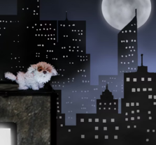 New Owner at Samueli Theater