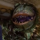 Little Shop of Horrors: Free For All Movie Mondays