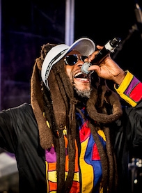 Steel Pulse / The Wailers Concert Steel Pulse / The Wailers Concert