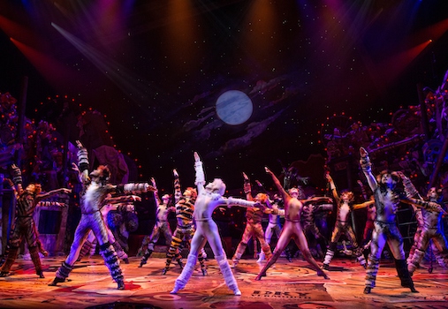 CATS at Segerstrom Center for the Arts Costa Mesa