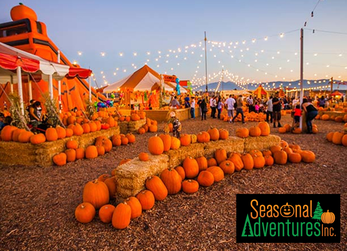 Seasonal Adventures – Pumpkin Patch