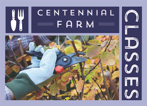 Garden Class: Pruning Fruit Trees - The Basics Garden Class: Pruning Fruit Trees - The Basics