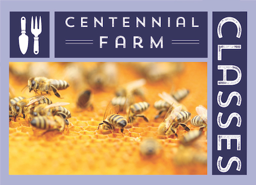 Garden Class: Beekeeping - The Basics Garden Class: Beekeeping - The Basics
