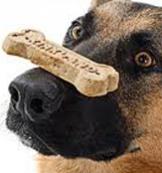 Costa Mesa Bark Park Yappy Hour Costa Mesa Bark Park Yappy Hour