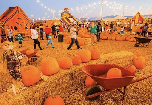 2023 Seasonal Adventures Pumpkin Patch at OC Fair