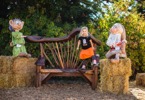 Scarecrow Festival at Lions Park Scarecrow Festival at Lions Park
