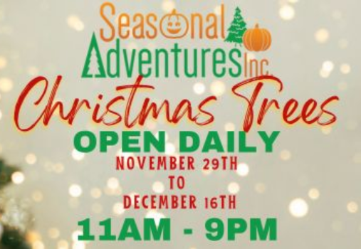 2024 Seasonal Adventures Christmas Tree at OC Fair 2024 Seasonal Adventures Christmas Tree at OC Fair