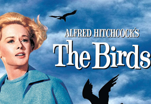 Afternoon at the Movies - The Birds