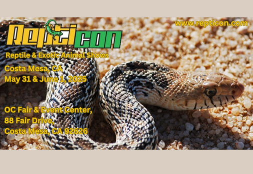 Repticon at OC Fair & Event Center