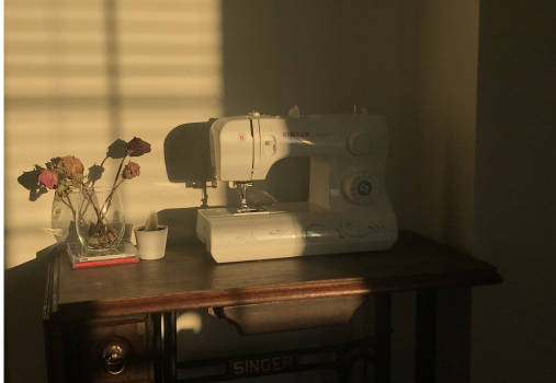 The Beginner Sewing Workshop