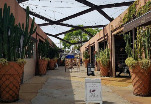 Live Music featuring chiara the solar harpist