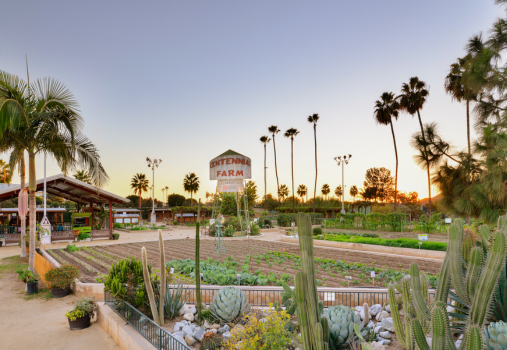 Discovery Day at Centennial Farm, Apr. 22