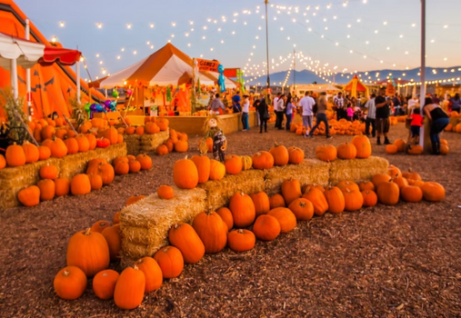 Seasonal Adventures Pumpkin Patch 2025 Seasonal Adventures Pumpkin Patch 2025