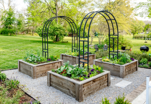 It’s Not Too Late! Planting a Fall Garden It’s Not Too Late! Planting a Fall Garden