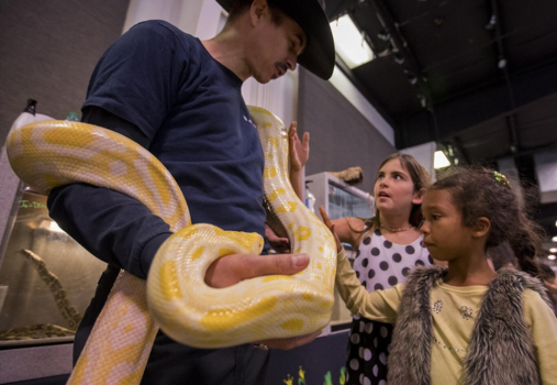 Repticon Nov. 2025 at OC Fair & Event Center Repticon Nov. 2025 at OC Fair & Event Center