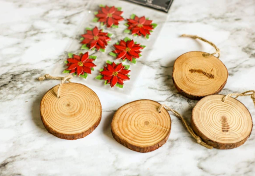 Make It, Take It – Living Ornaments with Succulents