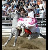 Fiesta del Charro