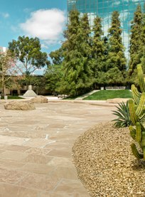 <i>California Scenario</i> (Noguchi Garden)