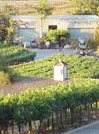 Newport Beach Vineyards and Winery