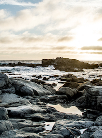 Crystal Cove Tidepools