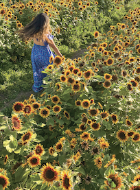 Flower Picking at Hana Field by Tanaka Farms