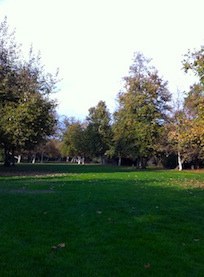 Talbert Regional Park