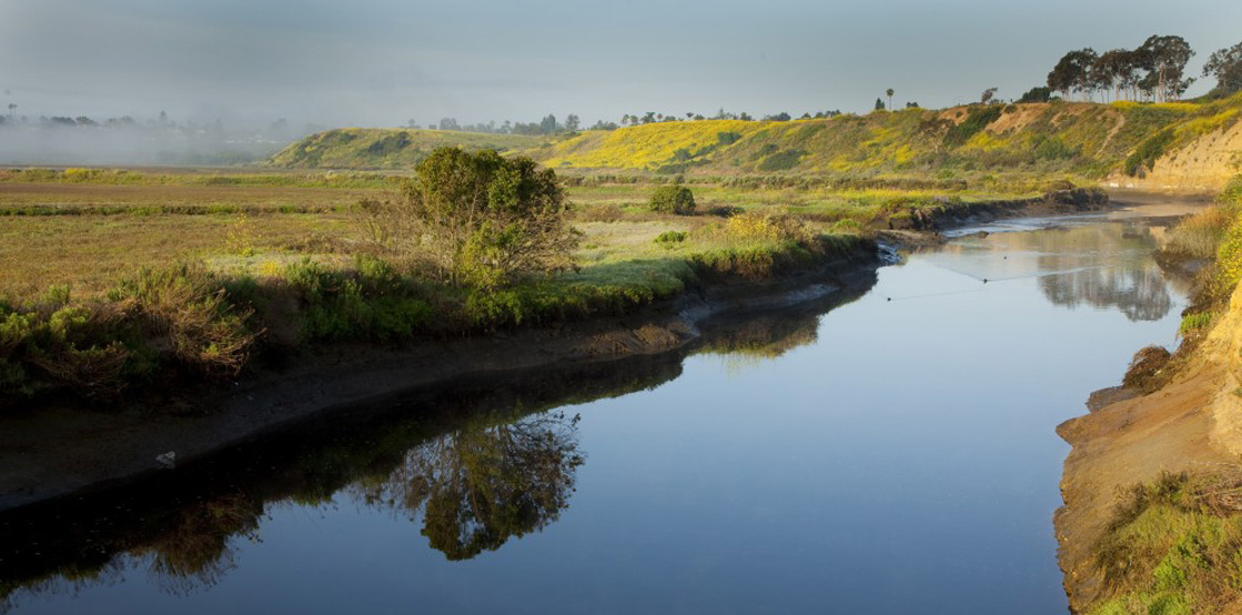 Newport Back Bay Wetlands Back Bay