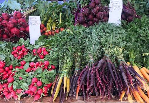 A market stand at South Coast Plaza Shopping displays bunches of fresh vegetables—red radishes, yellow and purple carrots, and beets—all neatly arranged with leafy tops and price tags.