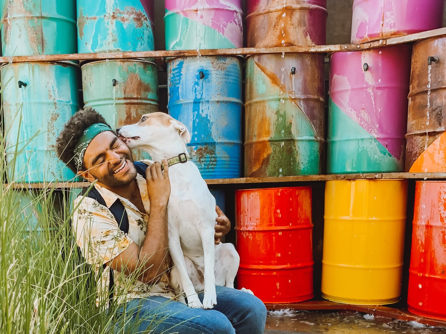 A smiling person sits in front of colorful painted barrels, laughing as a white and tan dog licks their face. Green grass grows nearby, adding to the lively, playful outdoor scene.