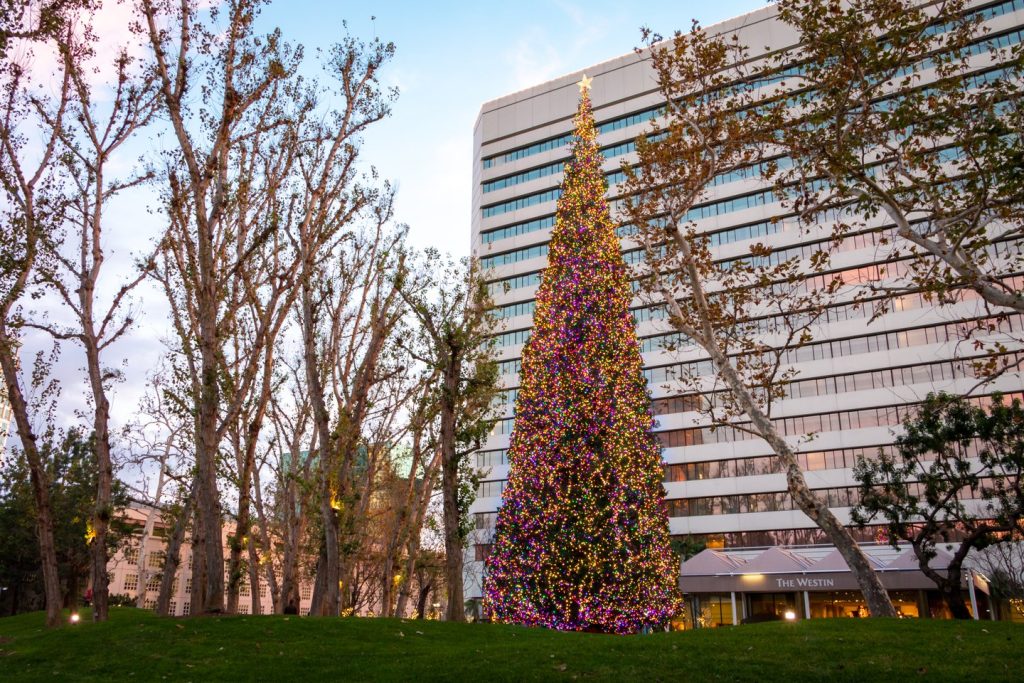 A tall Christmas tree decorated with colorful lights stands in front of a modern hotel building, surrounded by leafless trees and green grass at dusk.