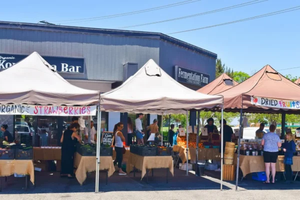 Outdoor farmers’ market with tents selling organic strawberries and dried fruits. Several people browse and shop at vendor stands in front of a shop building on a sunny day.