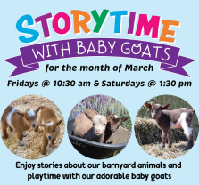 Colorful flyer for Storytime with Baby Goats in March. Features three photos of baby goats and details: Fridays at 10:30 am, Saturdays at 1:30 pm, with stories and playtime.