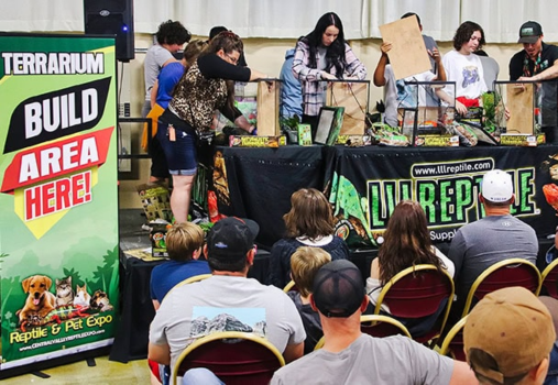 A group of people assemble terrariums onstage at a Reptile & Pet Expo, while an audience watches. A sign reads Terrarium Build Area Here! and the table displays reptile supplies and the logo LLReptile.