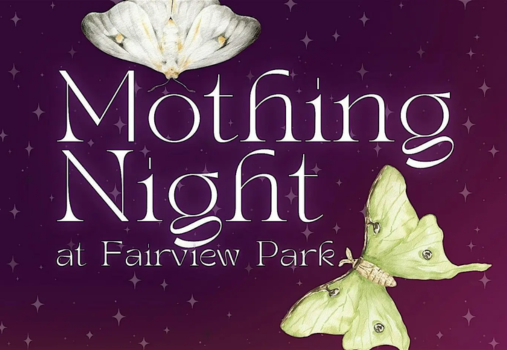Illustrated poster with white and green moths, starry purple background, and text: Mothing Night at Fairview Park.